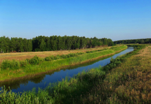 Klaiped potvyn apzele kanal